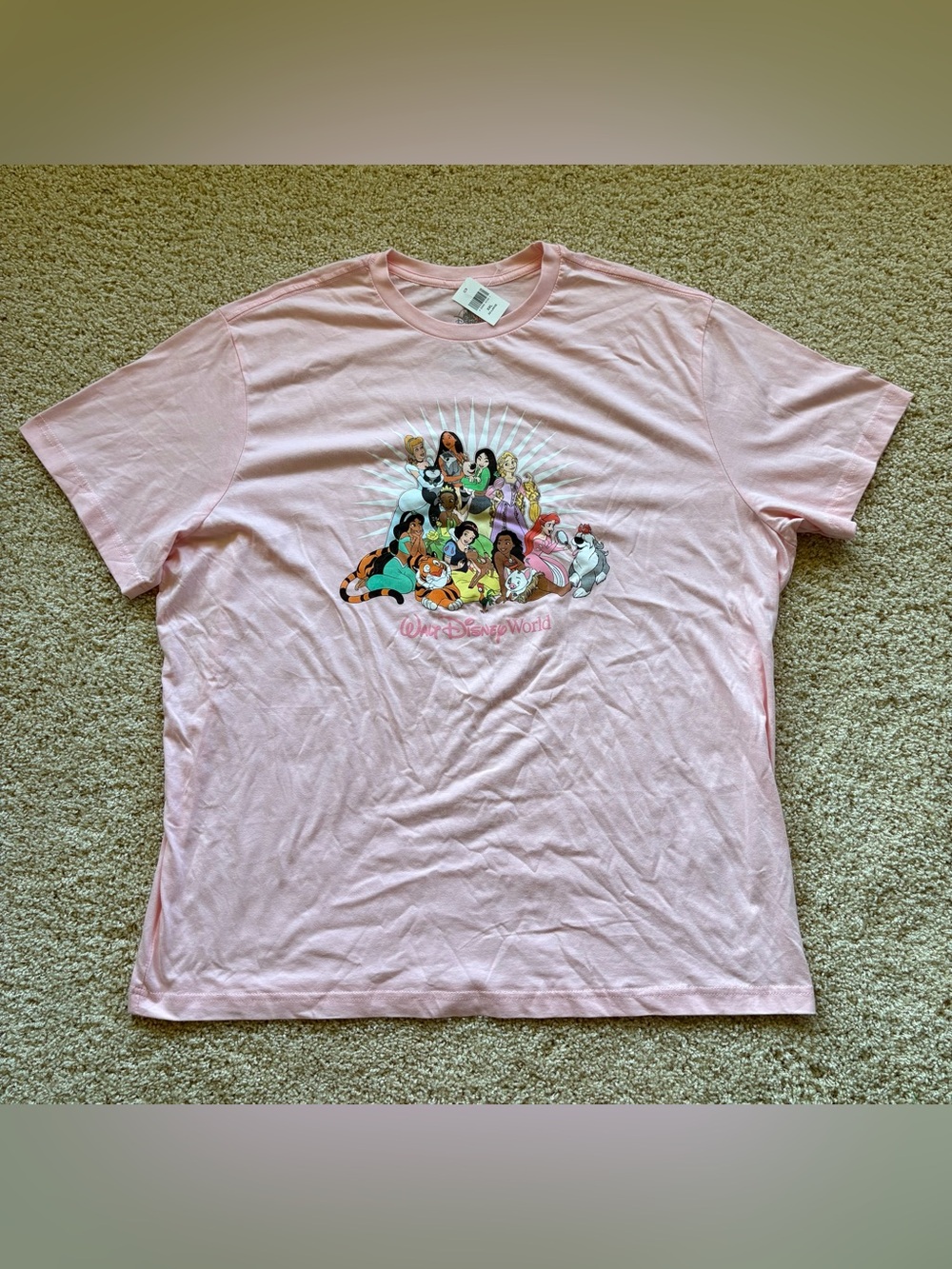 Disney Pink Short Sleeve Tee with‎ Disney Princess Graphic XXL
